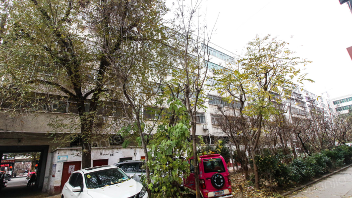 三八路五交化家属院外景图