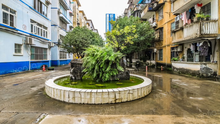 广西电视台生活区外景图