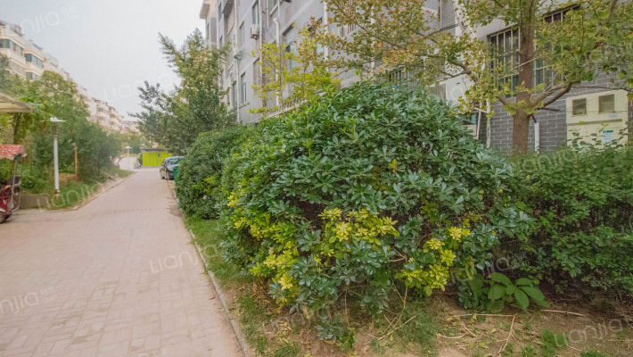 上城世家外景图