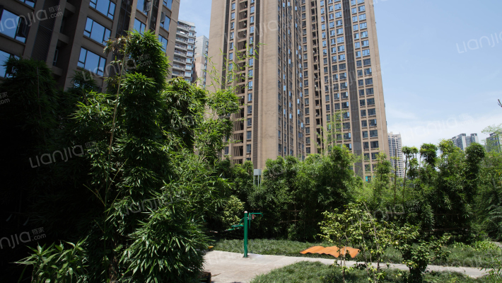 新天泽国际广场外景图