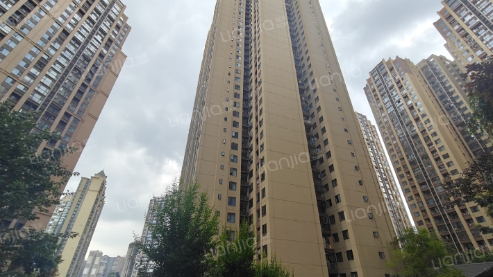 滨江领樾外景图