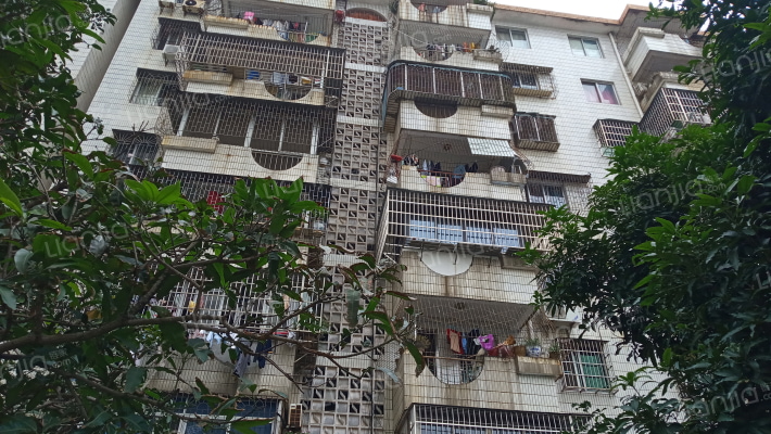 金海大院外景图