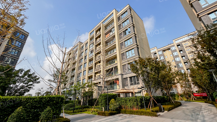 西阅星辰C区外景图