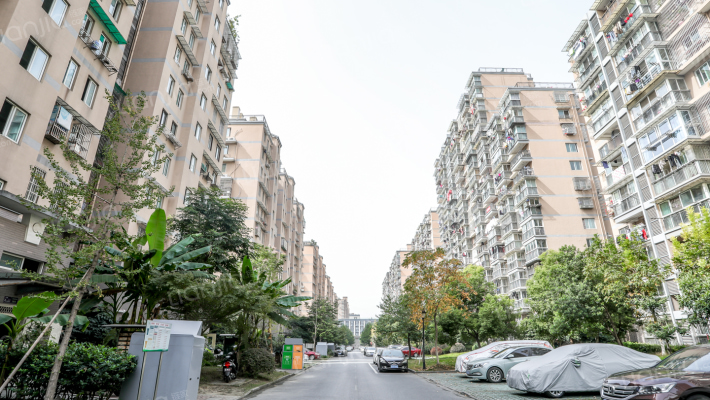 金雅苑社区外景图