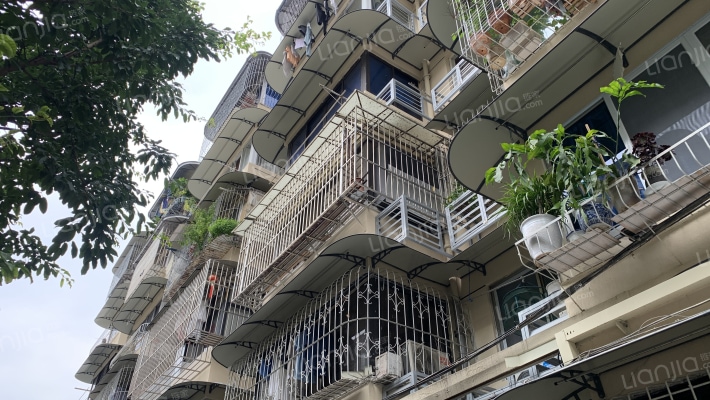 蓓蕾西巷8号外景图