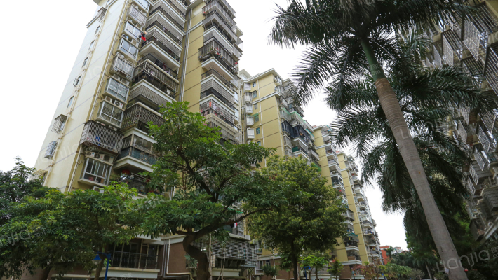 龙山二期外景图