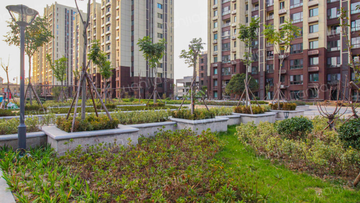 旭日东升外景图