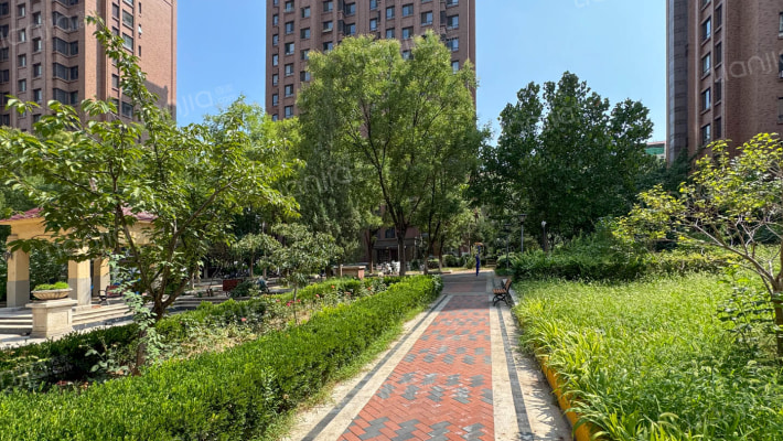 绿地·国际花都外景图