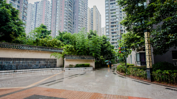 巨成龙湾外景图