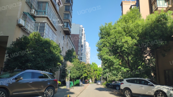 薇湖水岸外景图