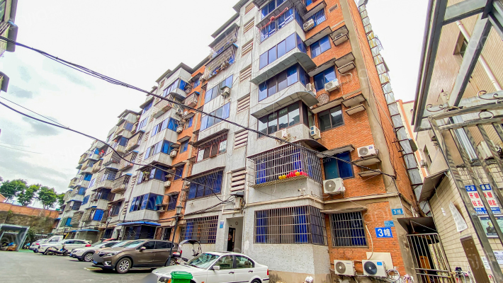 新生街82号外景图