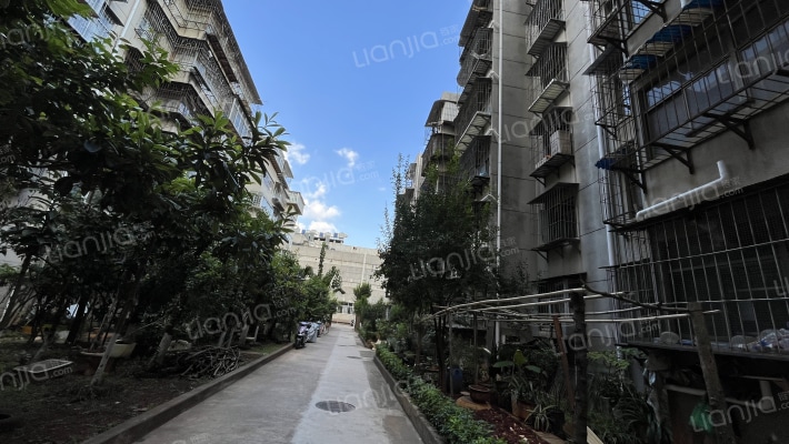 龙泉路295号外景图