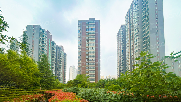 紫郡观澜外景图