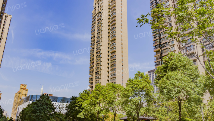 江城明珠外景图