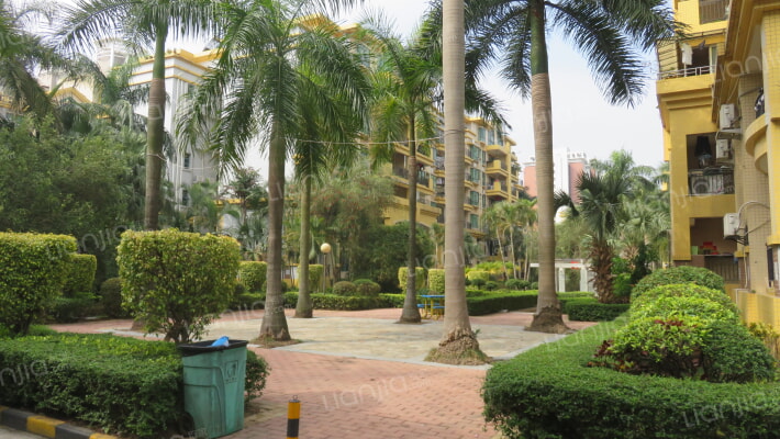 锦绣沙溪外景图