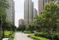 禹洲大学城49