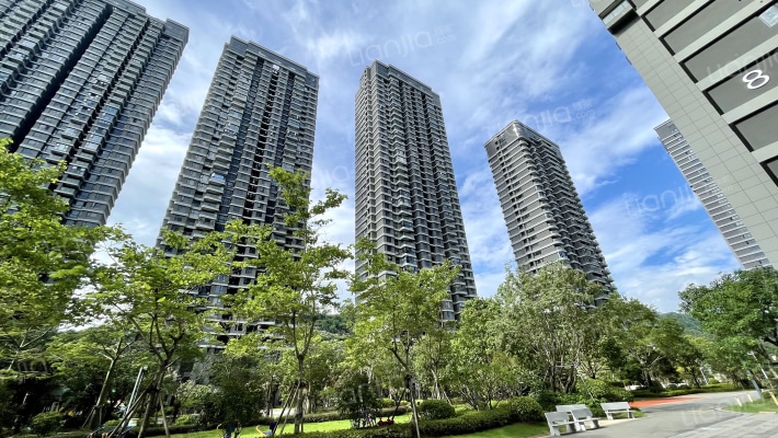 融信上江城C区外景图