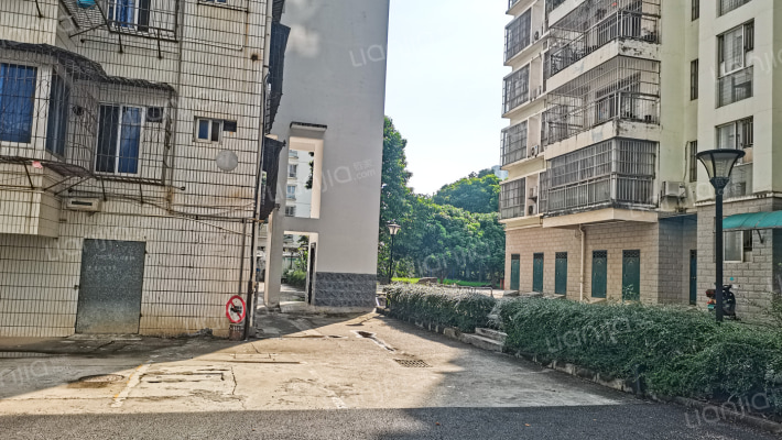 广西区水果生产技术指导总站广西名特优果品公司宿舍区外景图