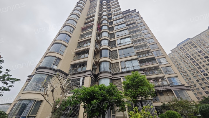 国智大厦外景图