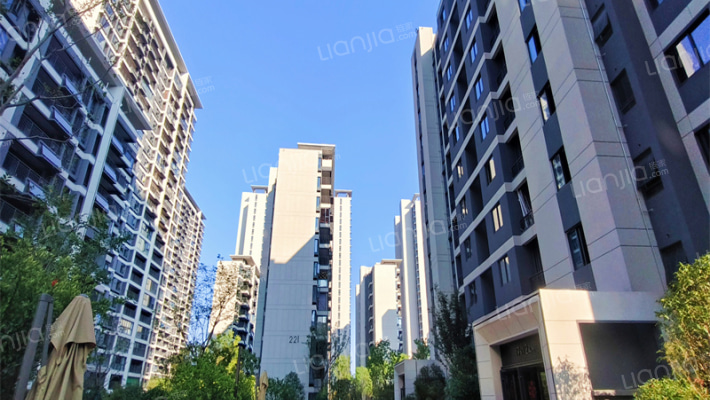 金地邦泰·城市星光外景图