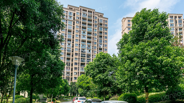 南岸花园东区外景图