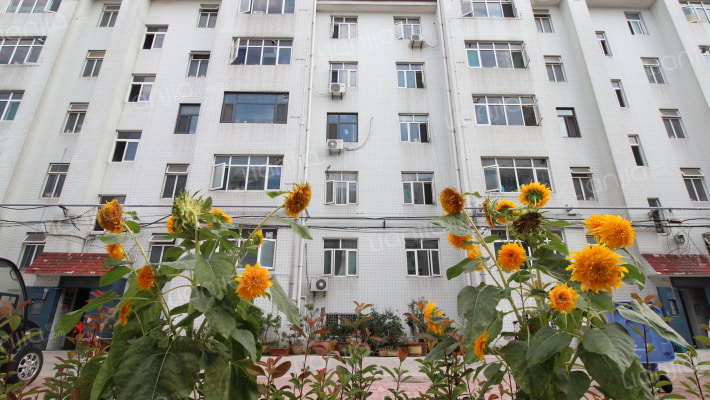 陈家庄居民小区外景图