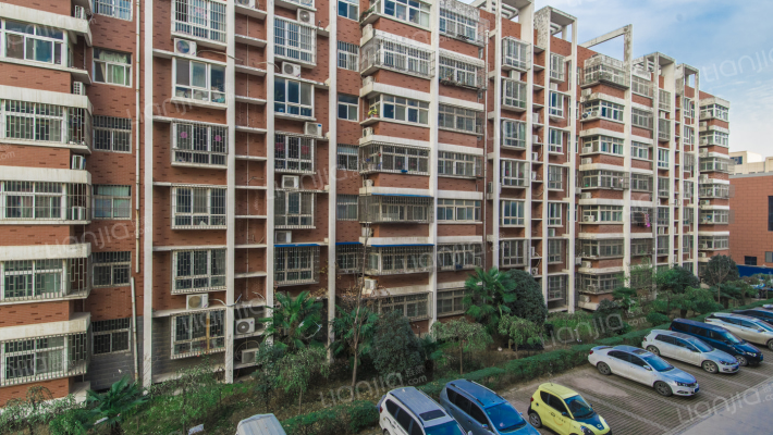 丰庆路小学家属院外景图