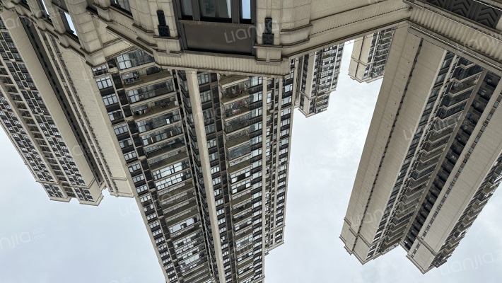 金地天河公馆外景图