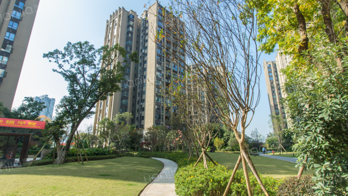 凤凰湾天骄外景图