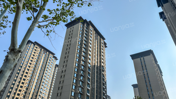 未来花珺外景图