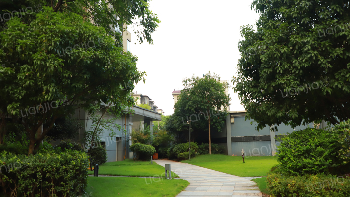 北辰三角洲凤凰公元外景图