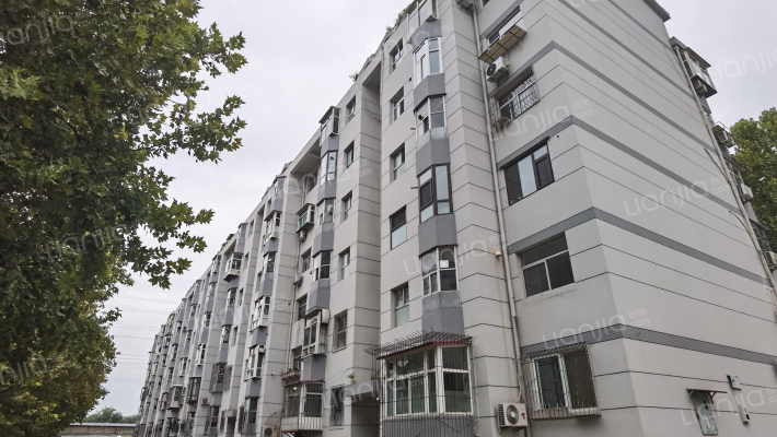 桃园村四区外景图