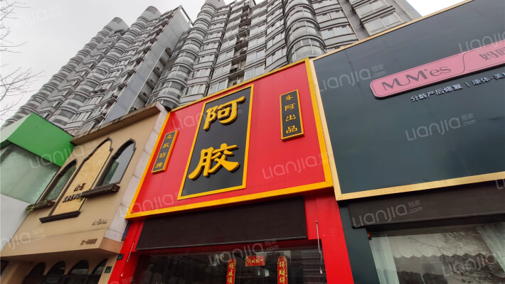 文一路217号外景图