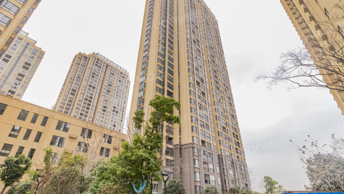 光明北部湾外景图