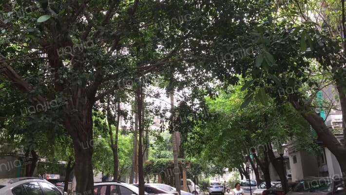 团结社区外景图