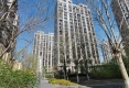 春柳公园12