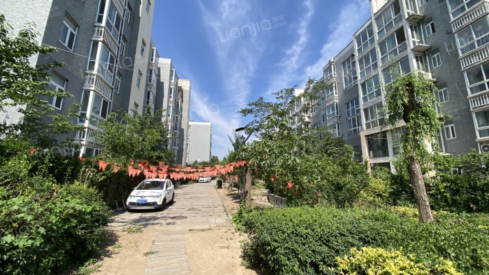 新龙现代城外景图