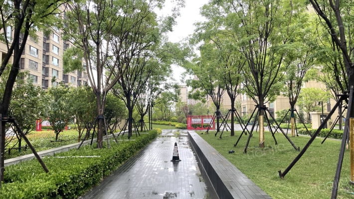 卓越嘉悦外景图