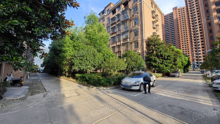 红枫佳园外景图