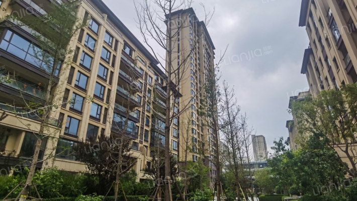 金科天籁城东区外景图