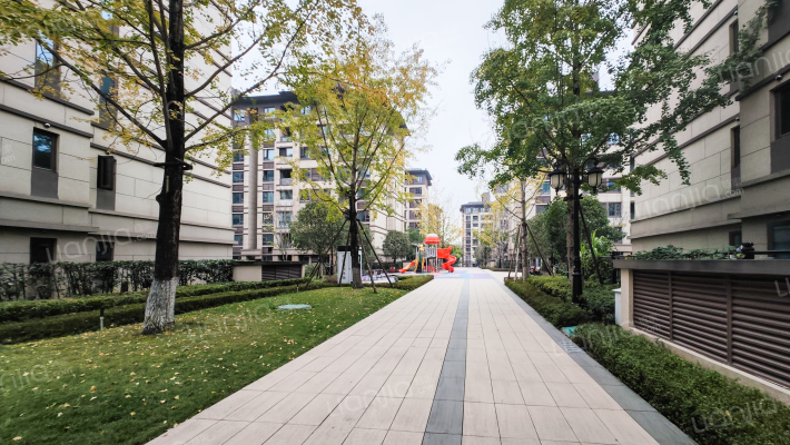 云湖上郡花溪洲4组团外景图