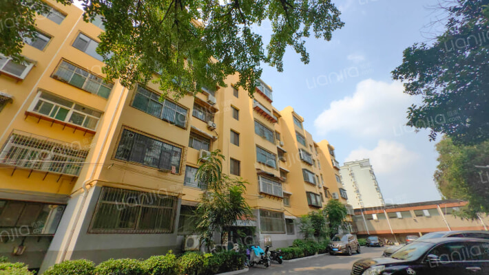 郎茂山6-3号外景图