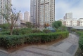 正恒园8