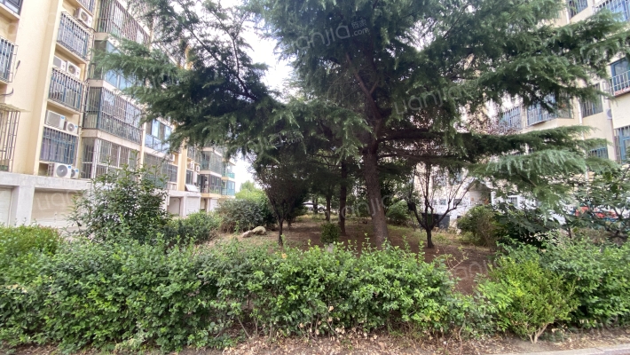 江南花园七期外景图