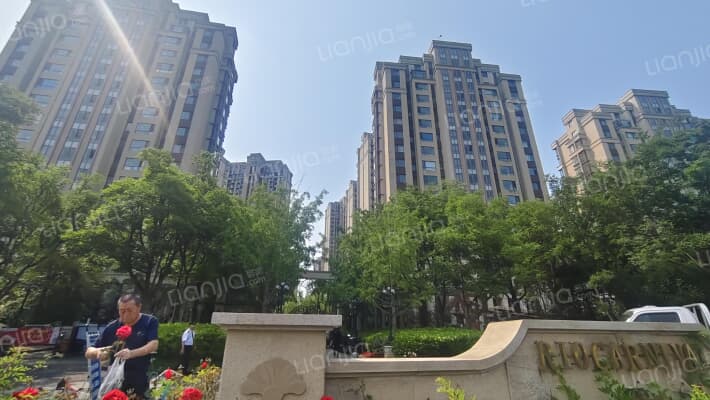 海上嘉年华外景图