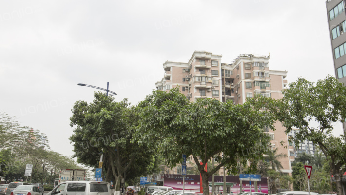 白云大道南外景图