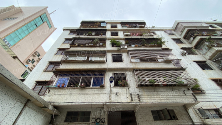 兰花巷3号外景图