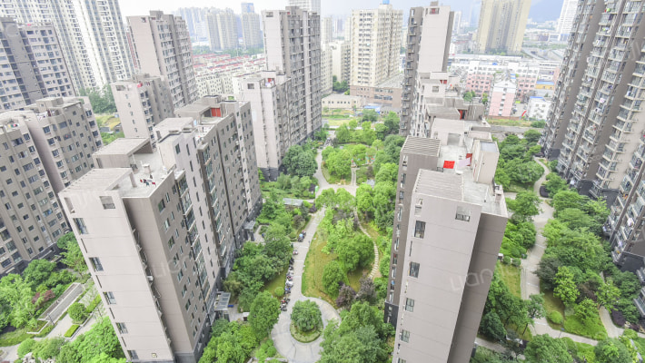 信达西山银杏外景图