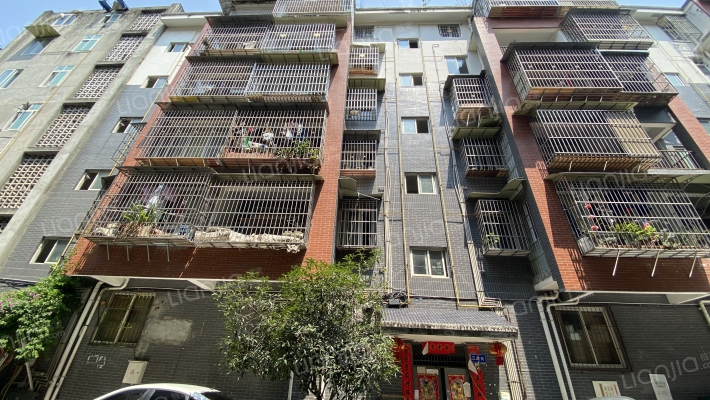 景环路164号外景图