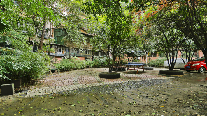 猛追湾东街6号外景图